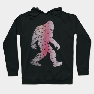 Bigfoot - Rainbow Trout Hoodie